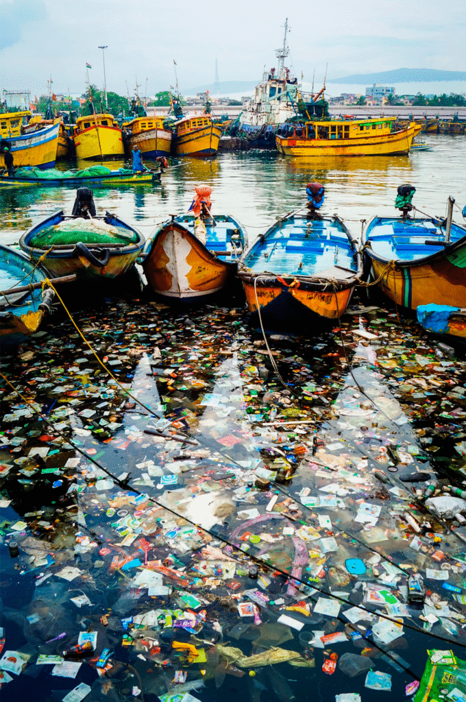 pescando plastico pescandoplastico