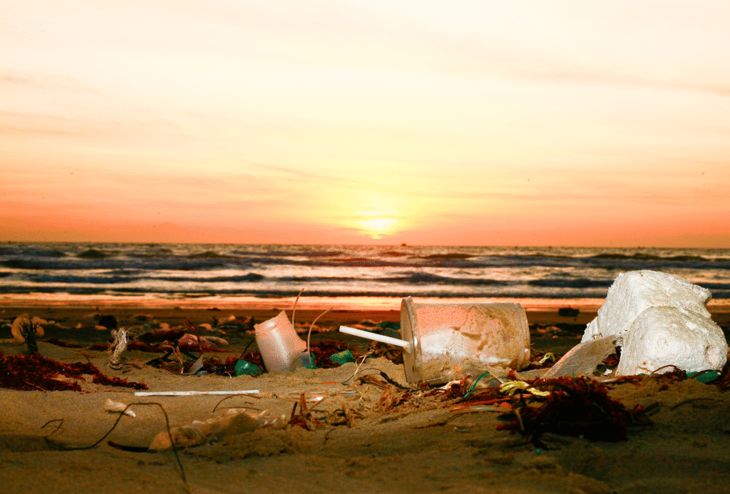 project-1 plastico en la playa